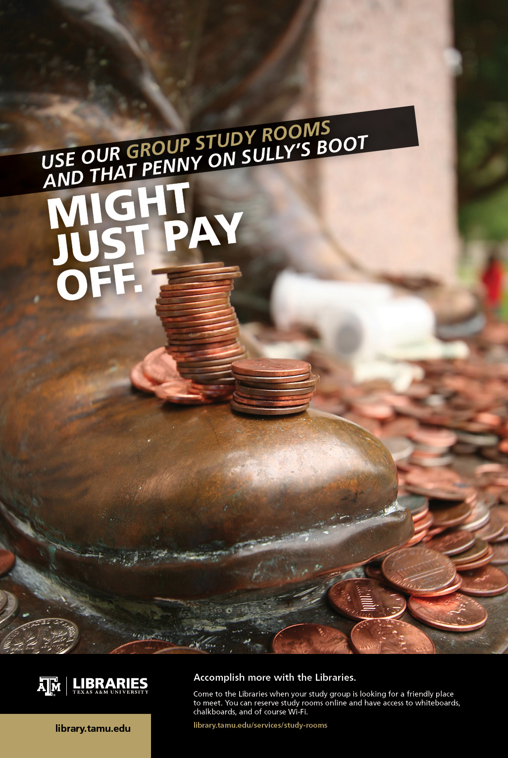 2013 Libraries Poster Campaign