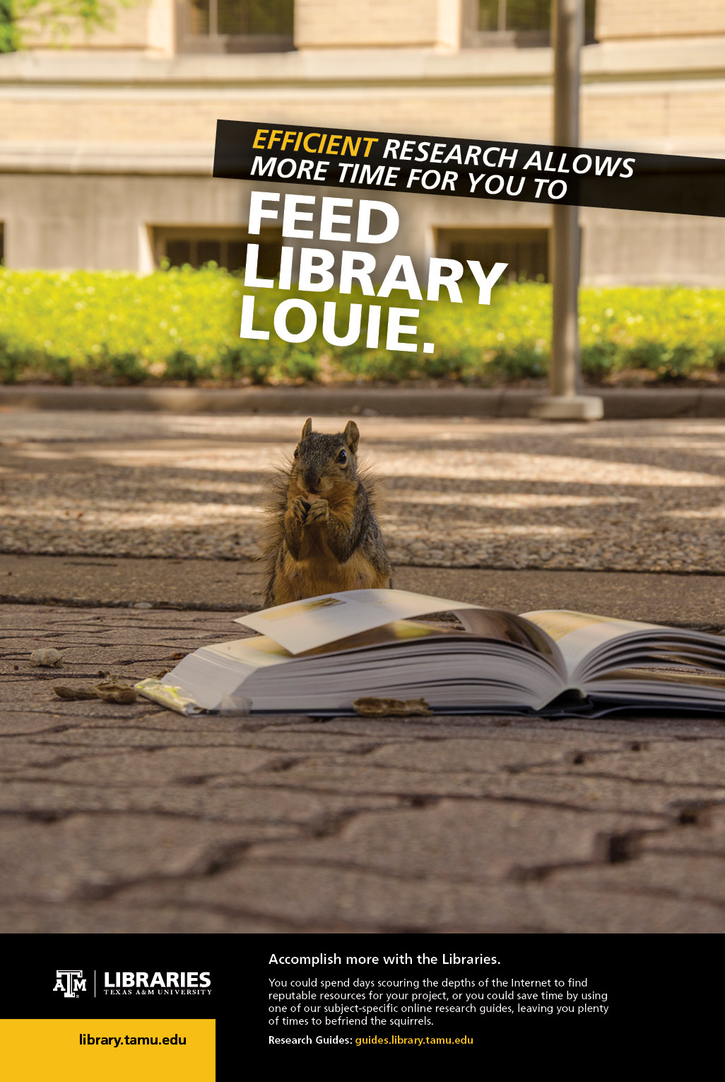 2013 Libraries Poster Campaign