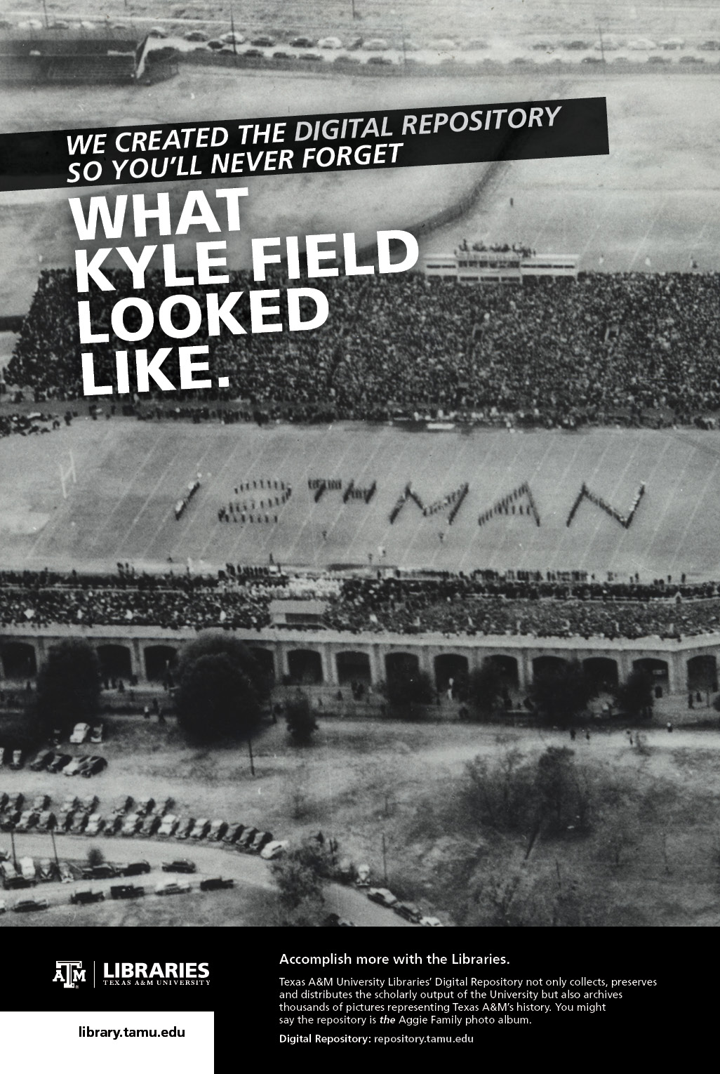 2013 Libraries Poster Campaign