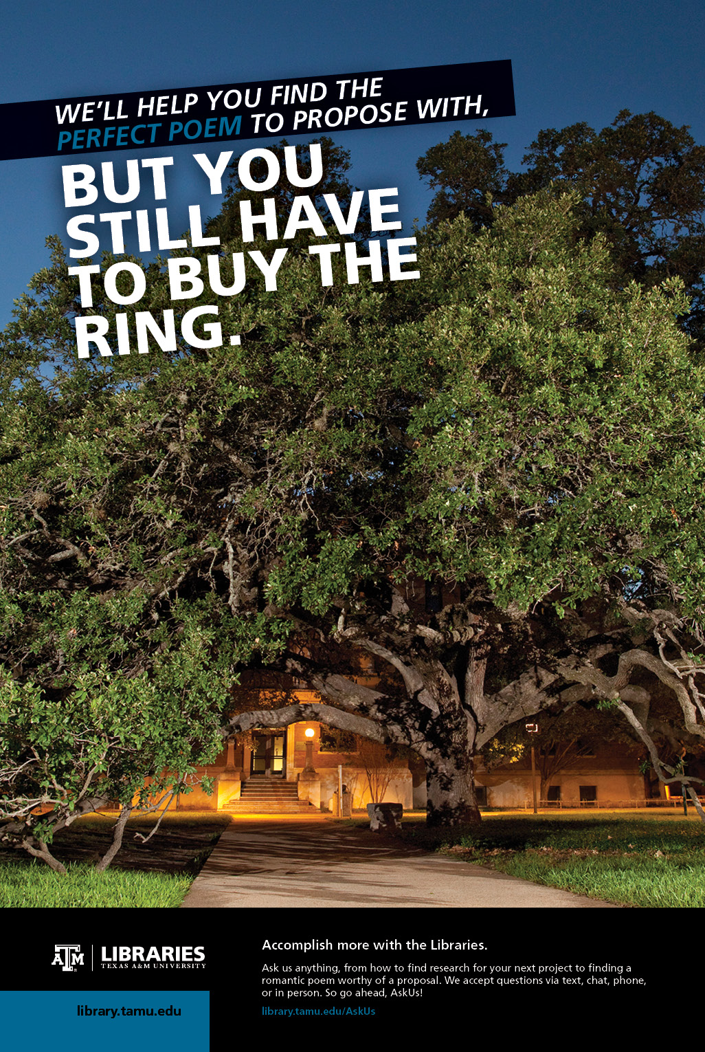 2013 Libraries Poster Campaign